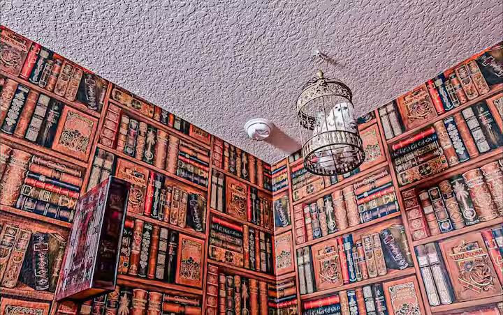 78f8a925-a063-4238-b5e8-83fbbebbb327